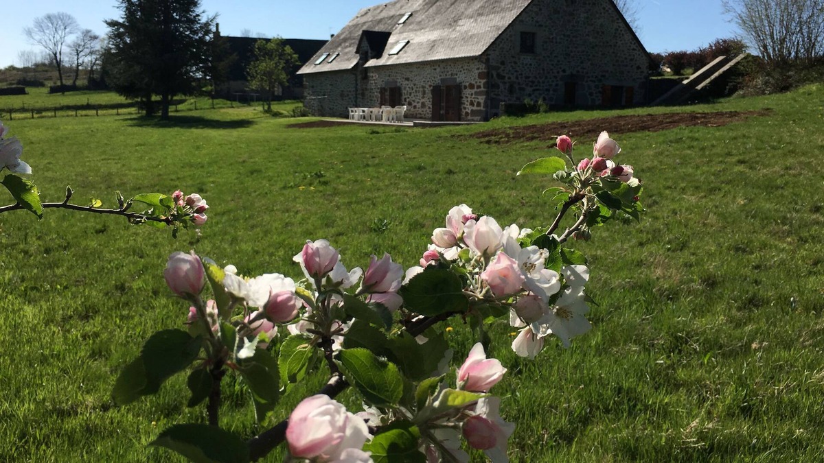 Saint-Cirgues-de-Malbert House | Grange authentic Auvergne