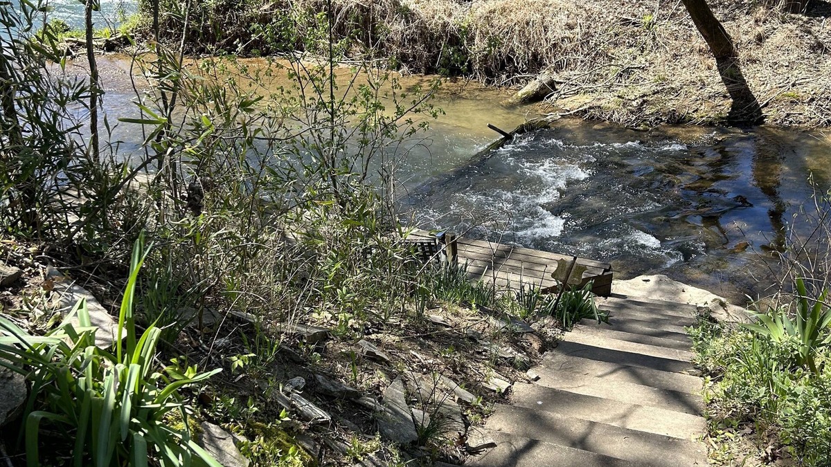 Hardy House | GREAT FISHING at the Spring River Waterfalls… Your “Hearty” Home Away from Home!