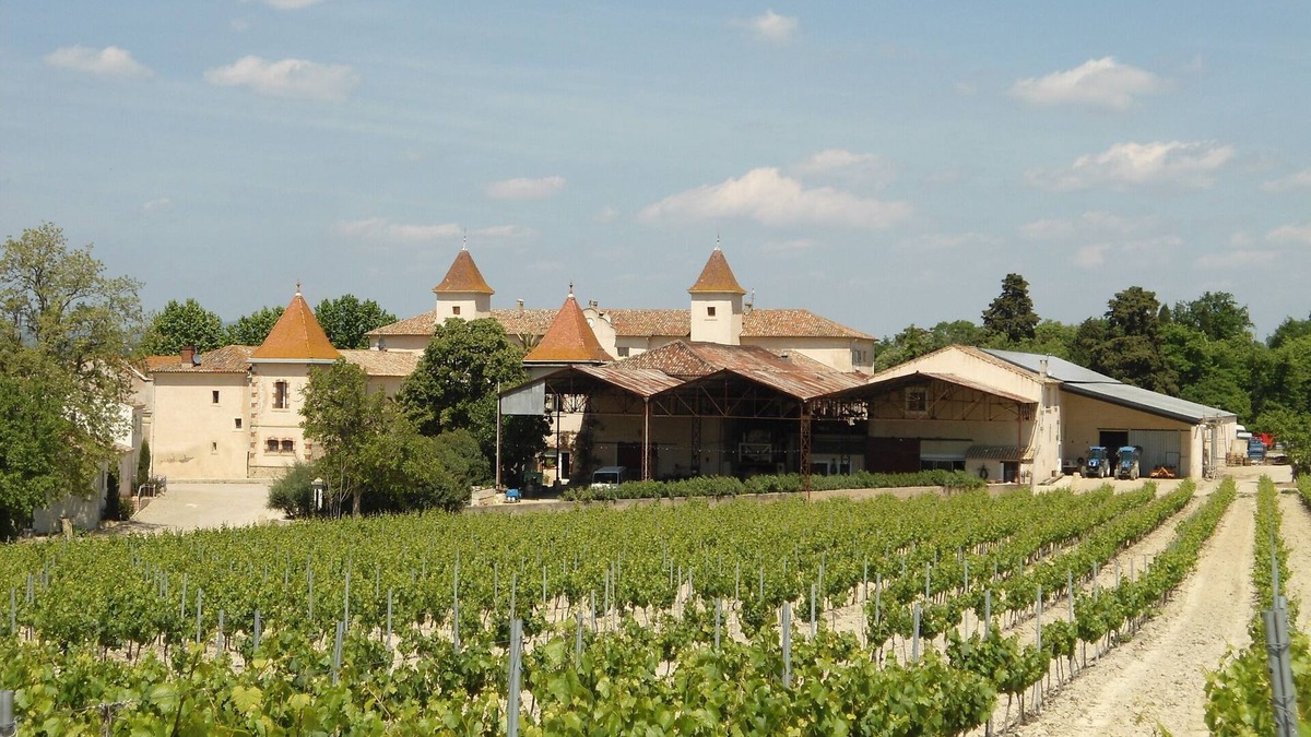 Murviel-les-Beziers House | Great House in the heart of the vineyard