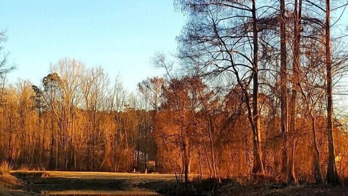 Many House | Great location. covered patio/5 minutes away from restaurants stores boat launch