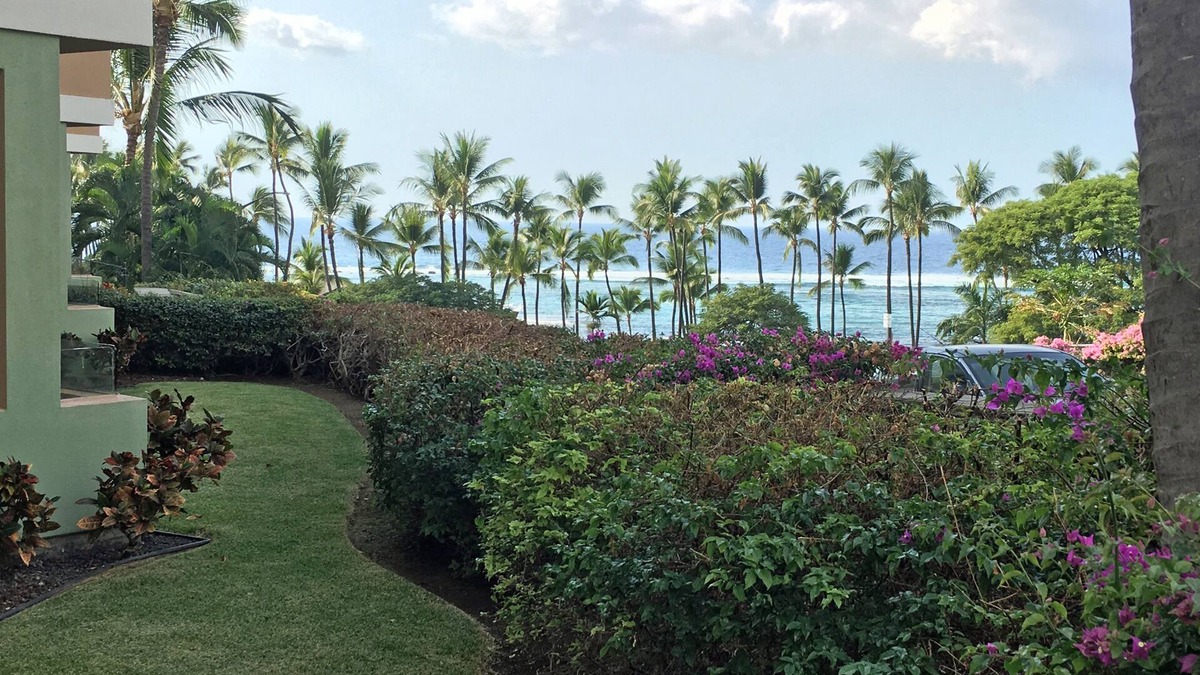 Kahaluu Bay Condo | Great Location - Snorkel, Surf & Sunsets!