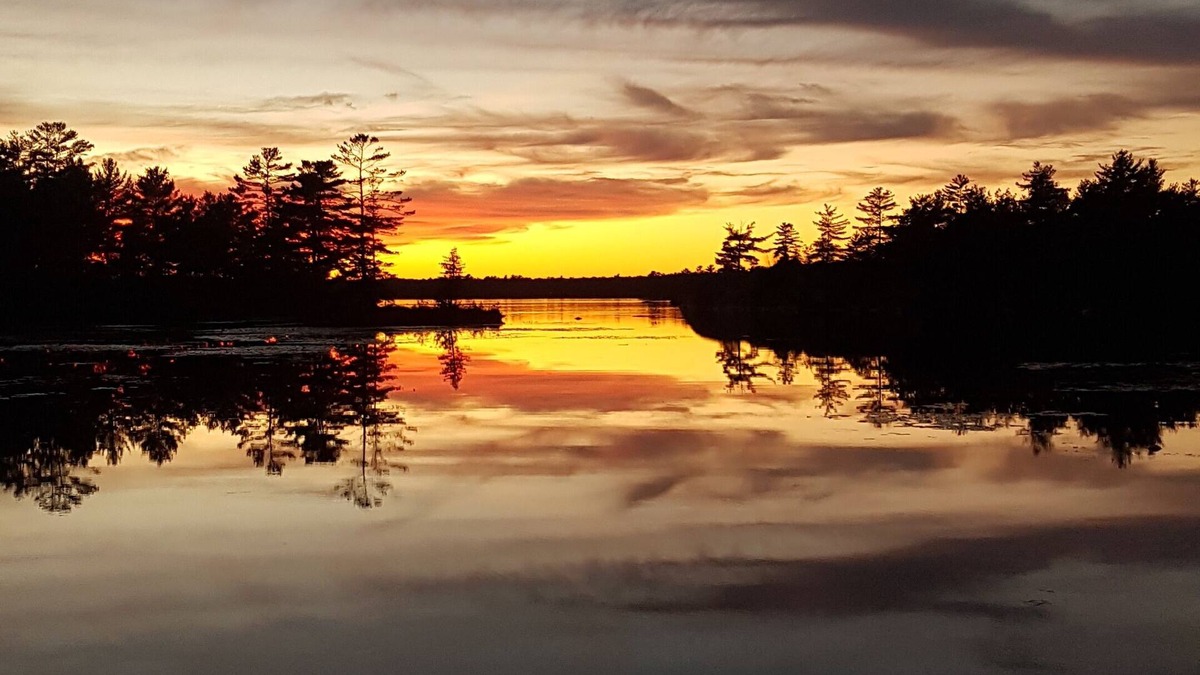 Trent Lakes Cottage | Great Quite Lake , big Bald Lake , With Access to Other Lakes , Great Fishing
