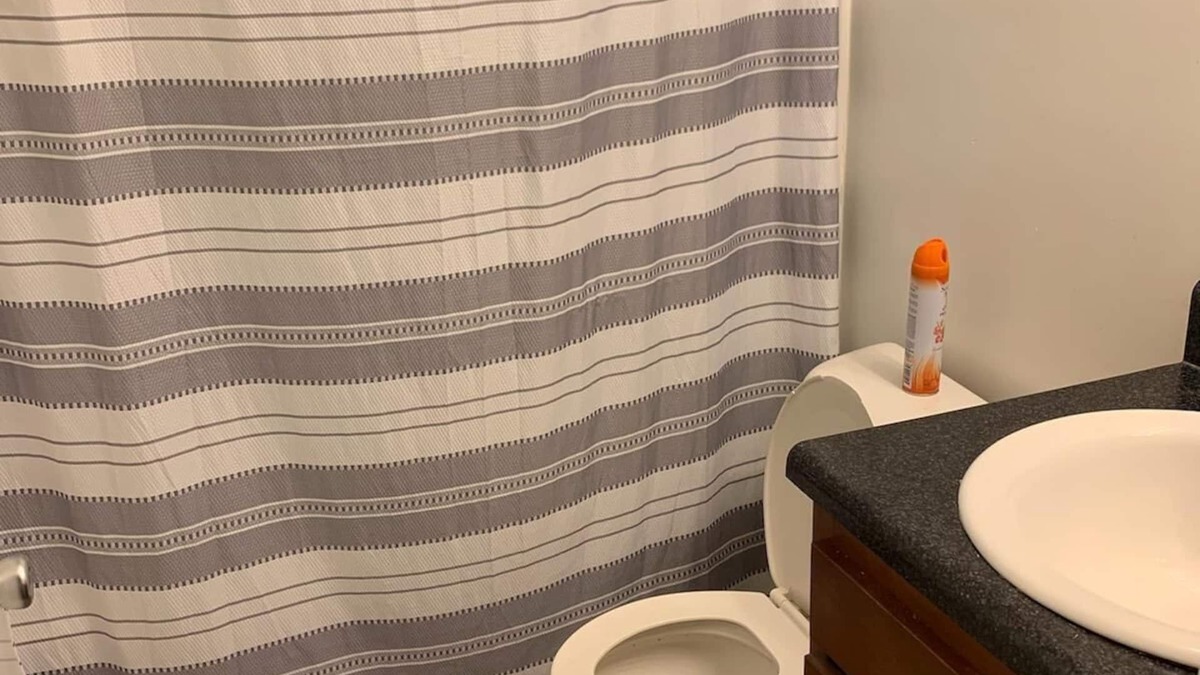 Charlotte Apartment | Great room near all