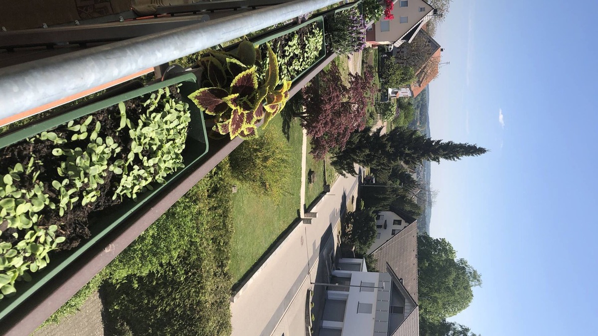 Bad Liebenzell Apartment | Great view in the Black Forest