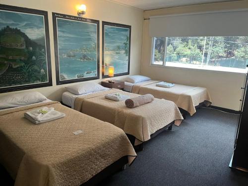 Teusaquillo Hotel | Greco Boutique Hotel