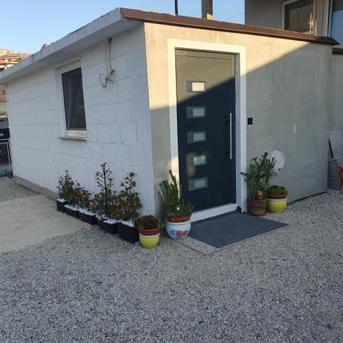 Mali Radic Apartment | Green Home