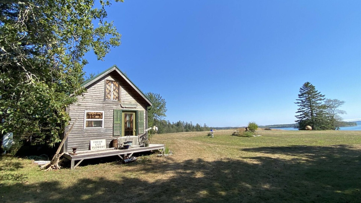 Eastport Cabin | Green-House Cabin and Deck at Rossport by the Sea