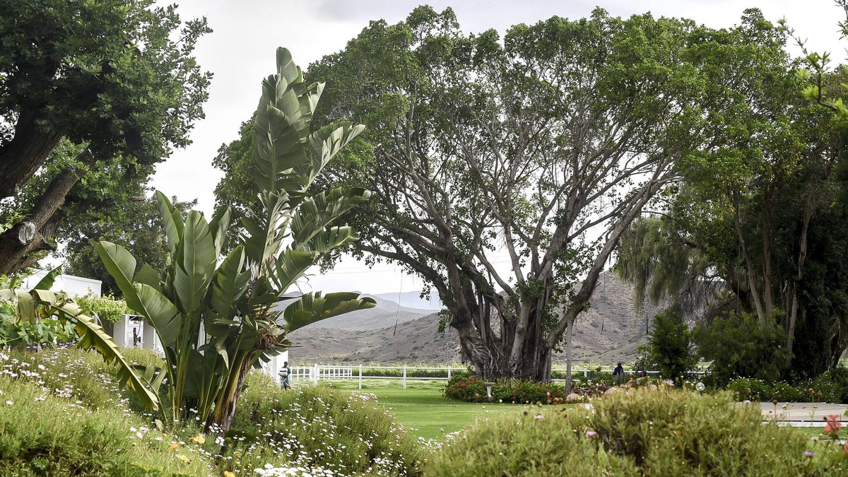 Langeberg House | Green Olive Guesthouse