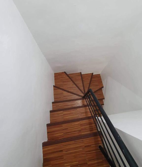 Pavia House | Green Olive