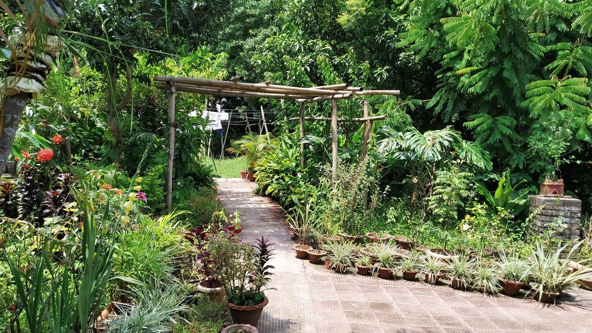 Balipara Hotel | Green Point Resort