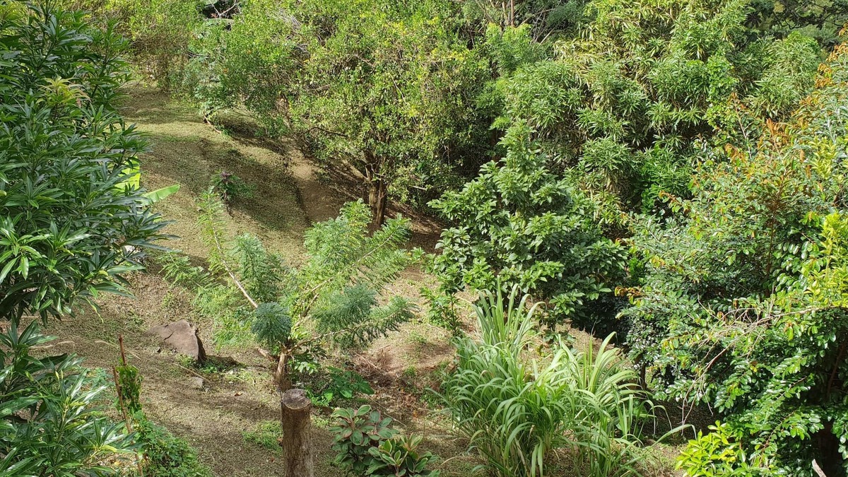 Saint-Esprit Apartment | Green setting - Tranquility assured