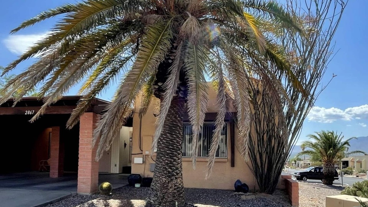 Desert Hills Estates House | Green Valley Desert Retreat
