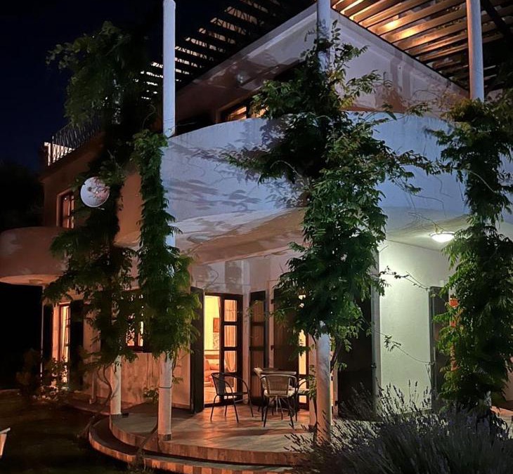 Susanj Villa | Green Villa in Olives