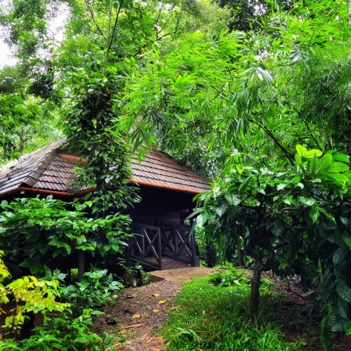 Kalloor Villa | Greens Tree House & Wood House