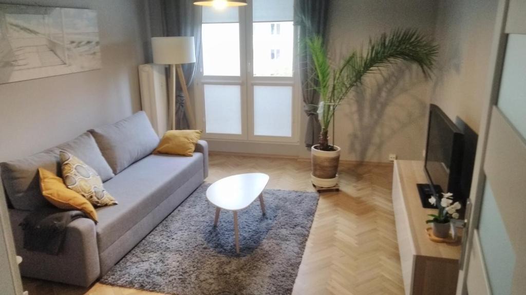 Torun Apartment | GreyT