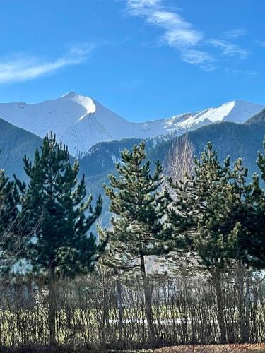 Razlog Apartment | Ground floor 2-bedrooms, 2-bathrooms apartment near Bansko in a complex with pools and SPA included