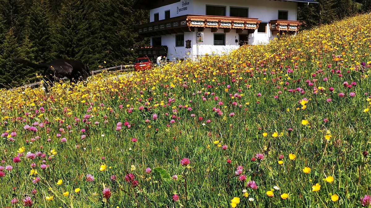 Steeg Cottage | Group living with a difference