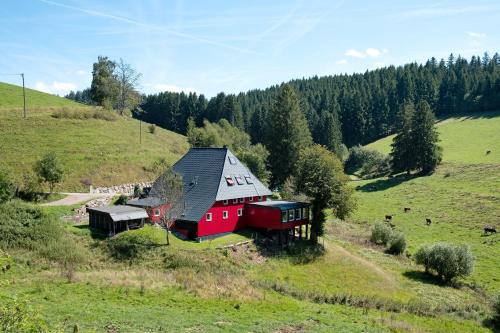 Guetenbach Apartment | Grundhäusle Gütenbach