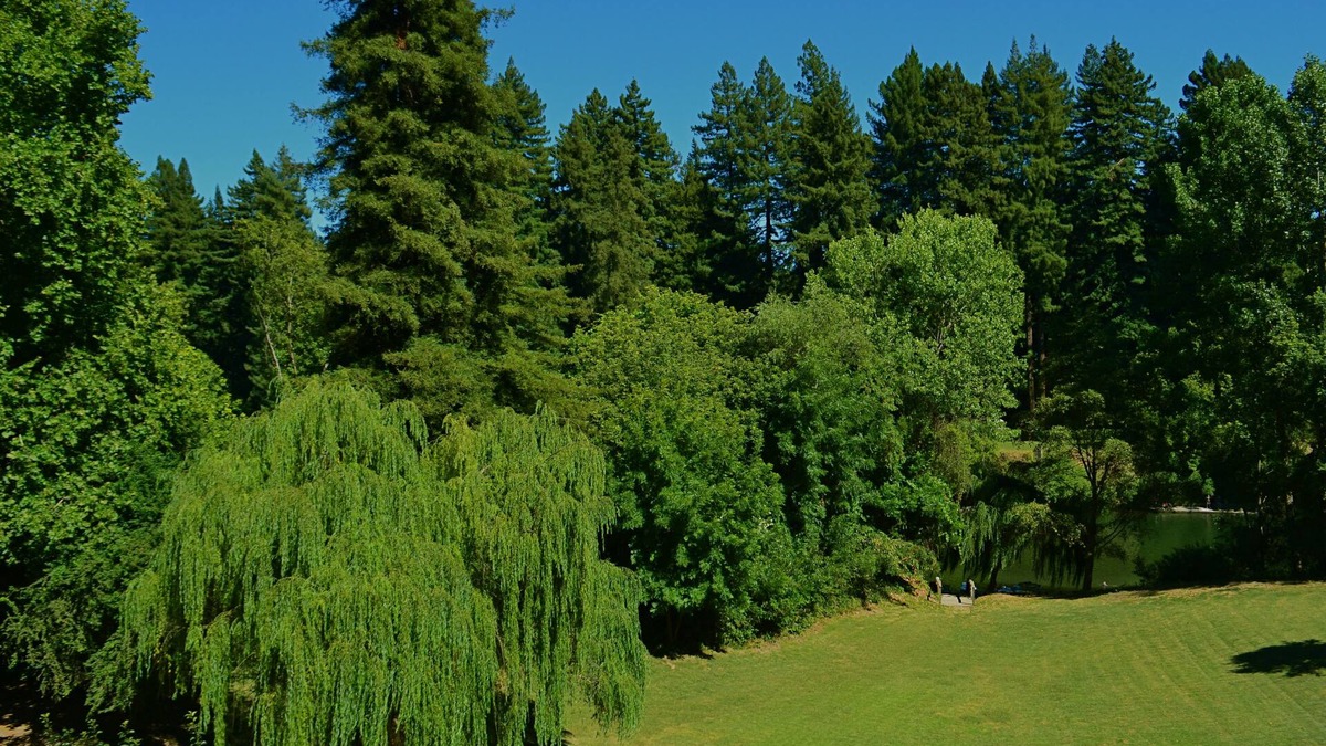 Guerneville House | Guerneville Lodge