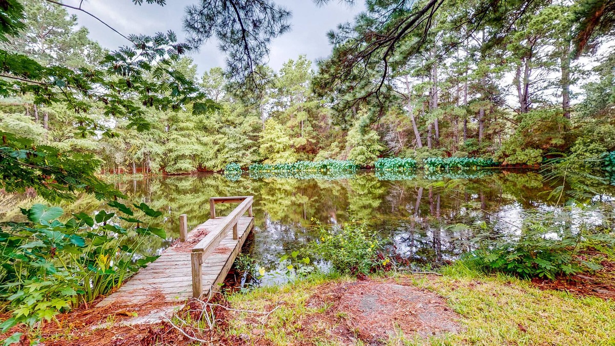 Bellville Cabin | Guest Home on 14 Acres - Vineyards, Pond & Trails - Newly Updated Kitchenette