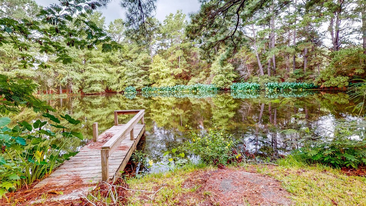 Bellville Cabin | Guest home on 14 acres - vineyards, pond & trails - newly updated kitchenette