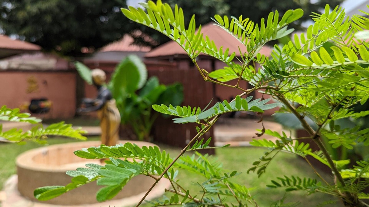 Kumasi House | Guest House & Bar