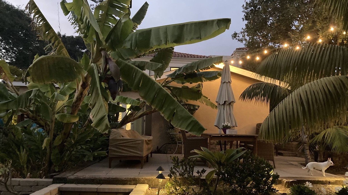 Leucadia Cottage | Guest house close to beach