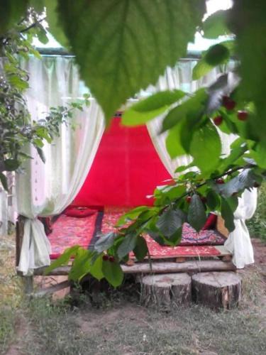 Kaji-Say House | Guest House Dinara