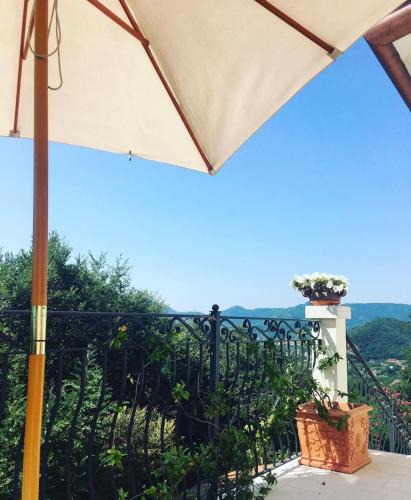 Montegrotto Terme Apartment | Guest house Festinalente