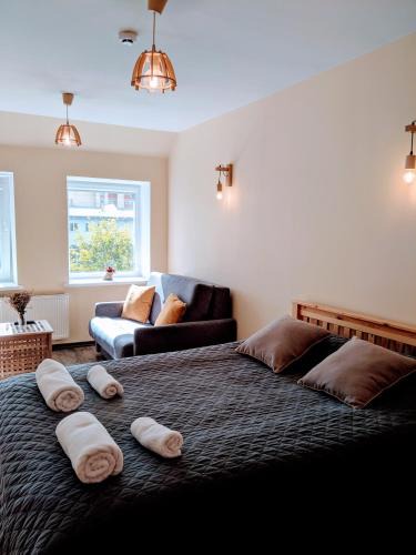 Panevezys House | Guest House Kamara