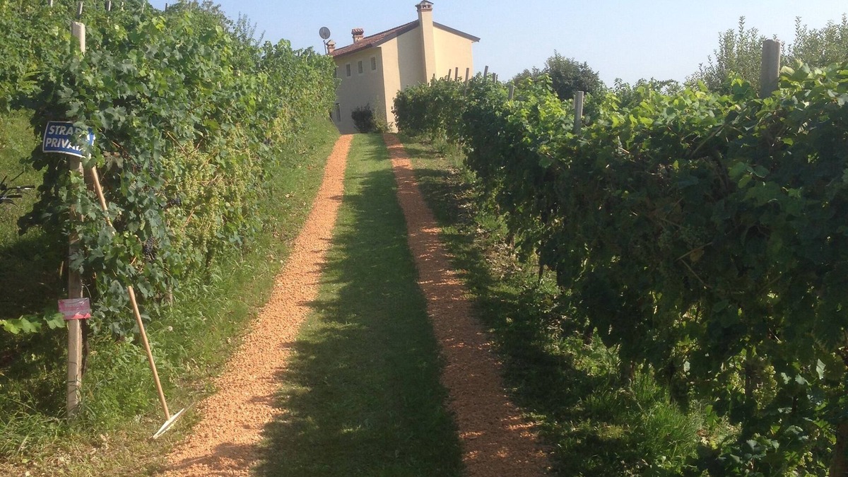 Vittorio Veneto House | Guest house with 2 apartments on the estate with Prosecco vineyard