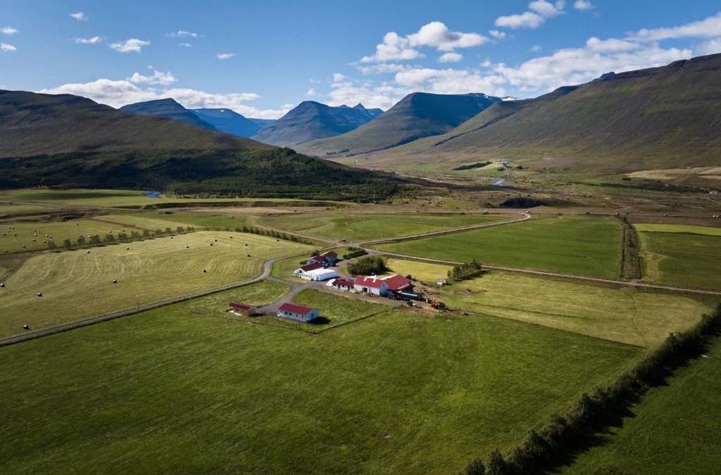 Oxnadalur Valley House | Guesthouse Baegisa