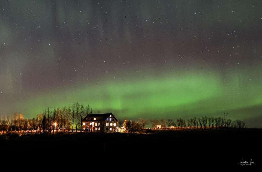 Selfoss Bed & Breakfast | Guesthouse Bitra B&B