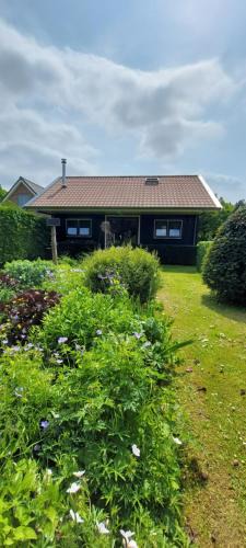 Klaaswaal Apartment | Guesthouse Claeswael
