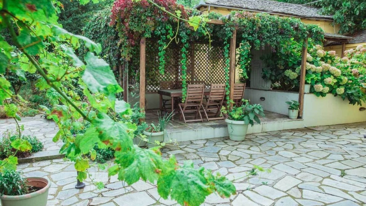 Tsagarada Hotel | Guesthouse Ellis