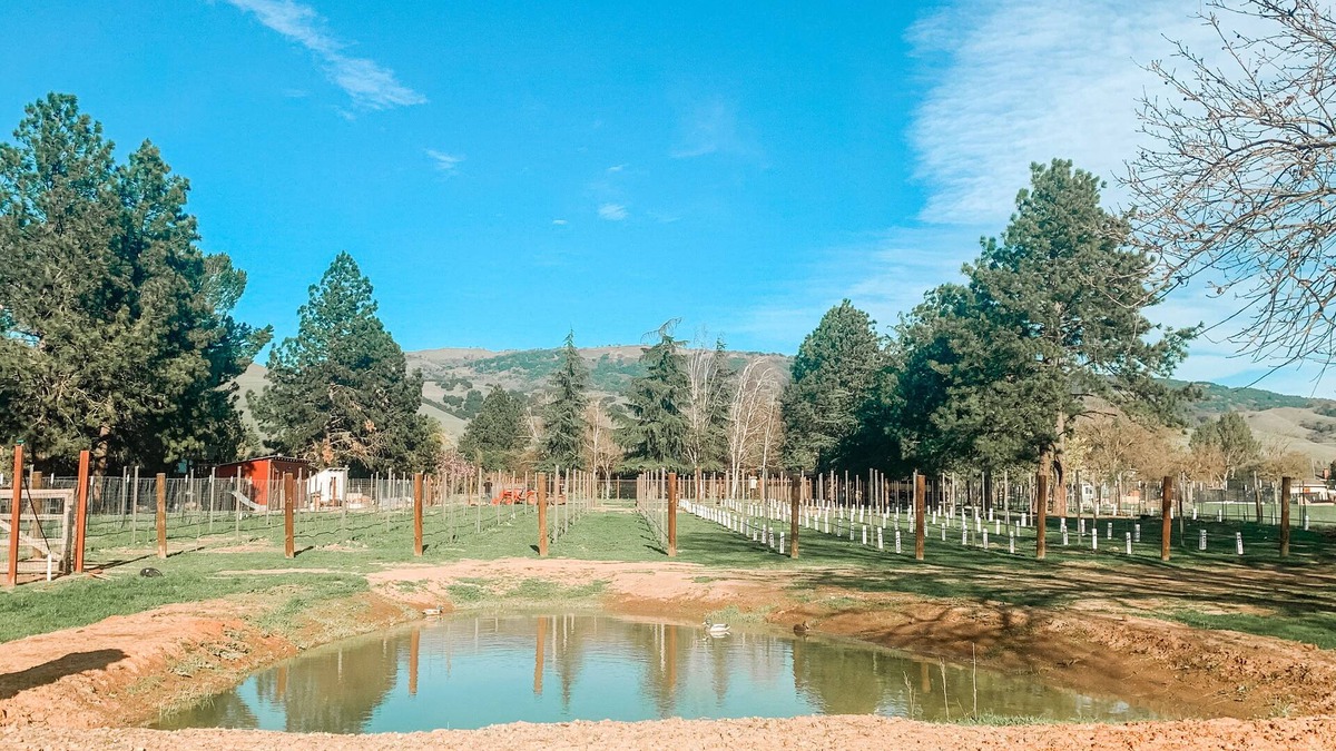 San Martin Cabin | Guesthouse Farmstay @ BarrelCreek Farm & Vineyards