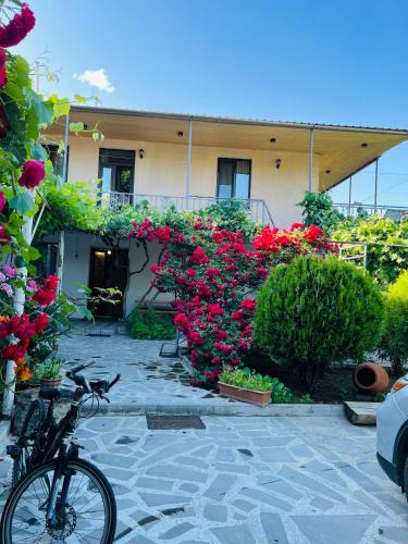 T'ba House | Guesthouse Mtkvari
