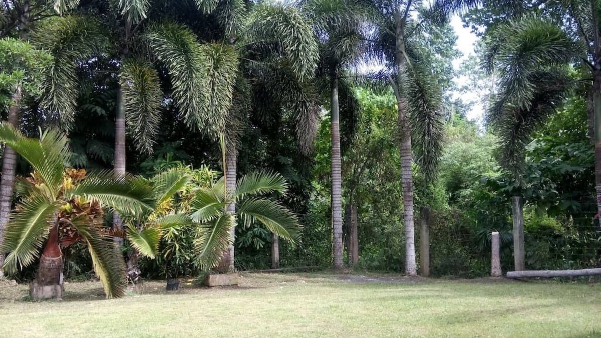 Baclayon House | Guesthouse Surrounded By Trees