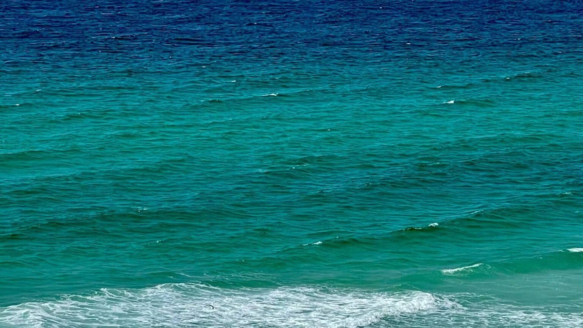 Pensacola Beach Condo | πΎπ¦πππ½π£π ππ₯ π¬ππππππ
π°πππ 9th Floor Stocked & Stellar Reviews!