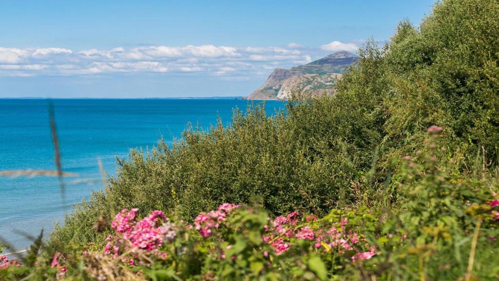 Nefyn House | Gwelfor