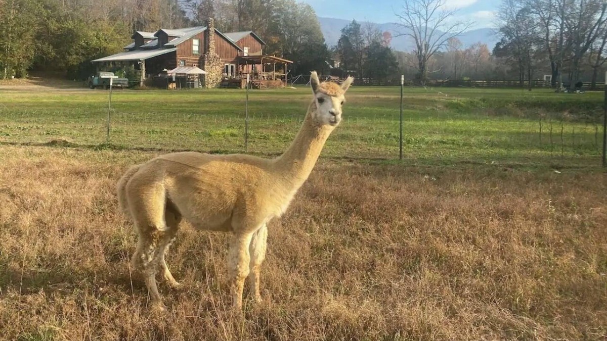 Benton Bed & Breakfast | Gypsy Haven A home away from home !