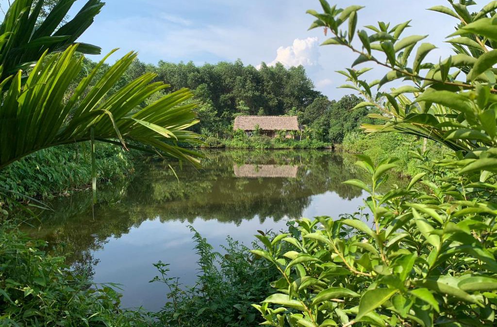 Pa So House | Háo Hức Village, Thai Nguyen