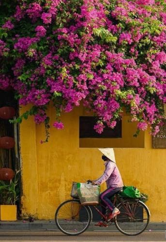 Cam Pho House | Hội An Spirit Homestay