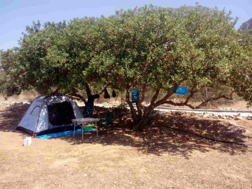 Lassithi Prefecture Other | HA Camp