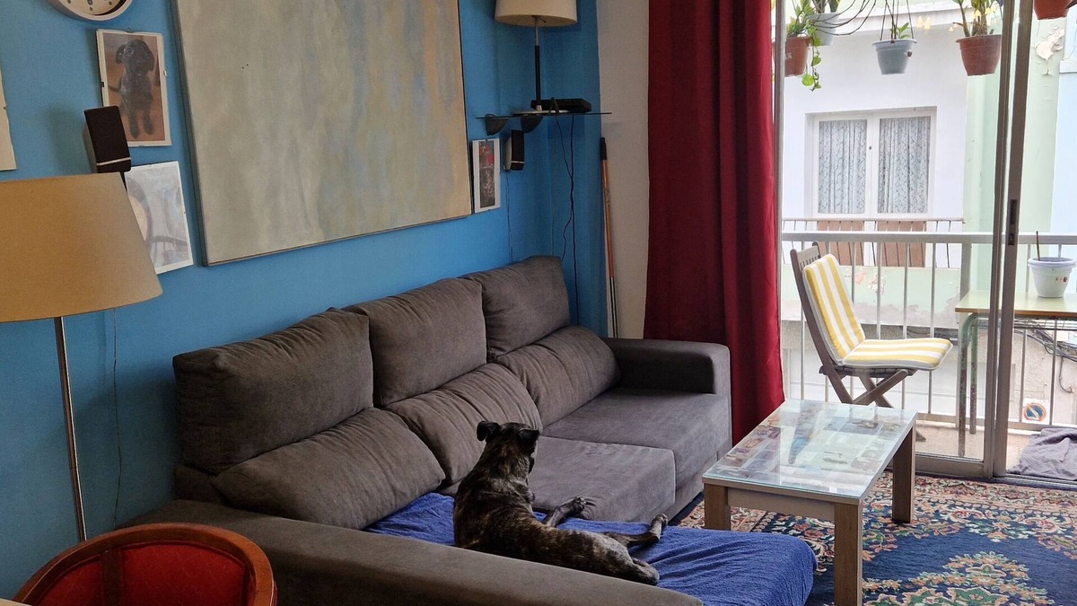 Las Palmas de Gran Canaria Apartment | Habitación con Litera y Perqueno Patio Privado. Para 2 Personas en Zona Centroco