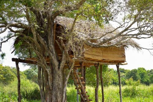 Habarana House | Habarana Tree House Area