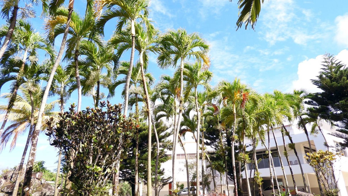 Trois-Rivieres Villa | Habitation SUGER ❤ Terrace, rooftop & Gardens (Entire Villa)