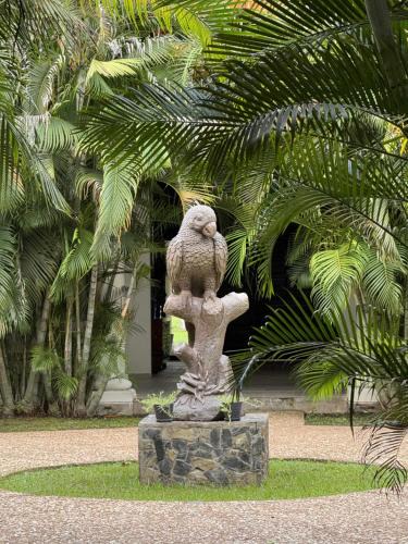 Balancan Hotel | Hacienda Mi Soledad