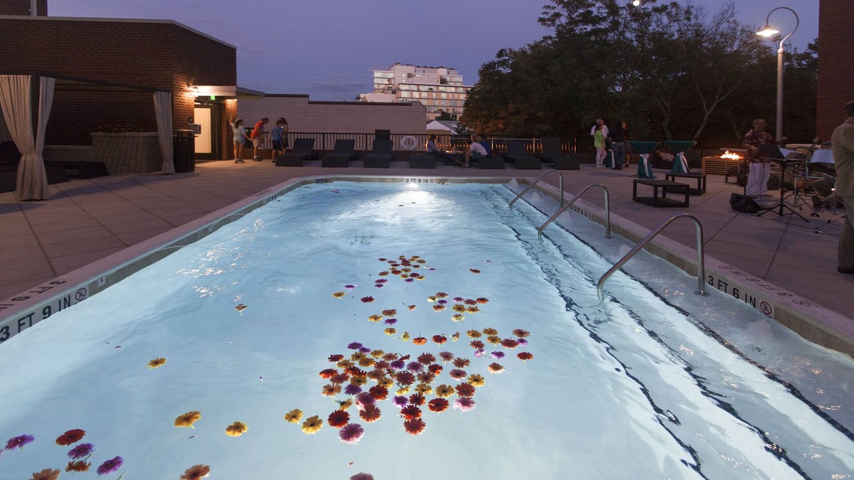 Carrboro Hotel | Hampton Inn & Suites Chapel Hill-Carrboro/Downtown