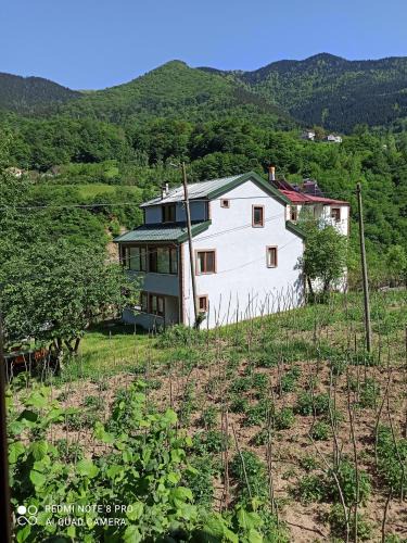 Macka Villa | Hamsiköy Vadi Konaklama